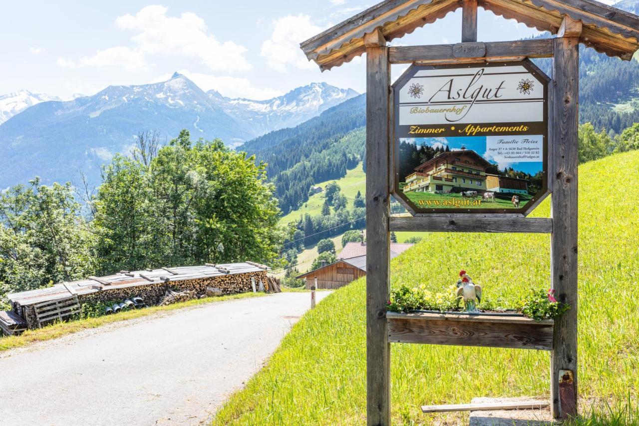 Biobauernhof Aslgut Villa Bad Hofgastein Ngoại thất bức ảnh