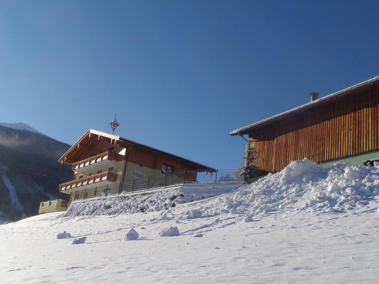 Biobauernhof Aslgut Villa Bad Hofgastein Ngoại thất bức ảnh